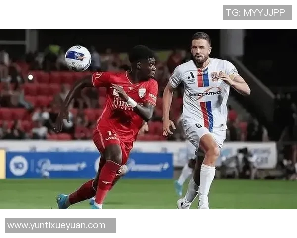 墨尔本鲨鱼对决墨尔本胜利激烈比赛引发球迷热议与期待